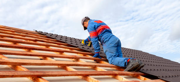 Best Roof Moss and Algae Removal  in Moncks Corner, SC